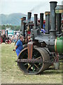 SO8040 : Welland Steam Rally - engines in the parade ring by Chris Allen