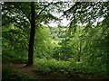 SE1427 : View across the valley of Royds Hall Beck by Christine Johnstone