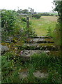 SW4838 : Cornish stile near Towednack by Graham Horn