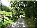 SO3496 : Lane running past Rock Farm by Christine Johnstone