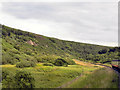 SE8497 : North Yorkshire Moors Railway, Fen Moor by David Dixon