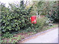 TM2153 : Potash Corner Postbox by Geographer