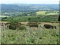 SO5975 : Rough grazing at Cleehill by Christine Johnstone