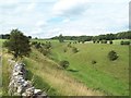 SK0973 : Upper Woo Dale by Jonathan Clitheroe