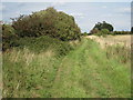 SK8061 : Trent Valley Way by Jonathan Thacker