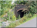 ST2986 : Western portal of Gaer Tunnel, Newport by Jaggery