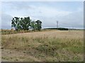 SE5015 : Hedgerow trees alongside stubble field by Christine Johnstone