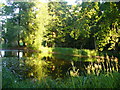 SP3211 : Fish Pond, Minster Lovell Hall by Colin Smith