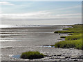 SD3626 : Ribble Estuary by David Dixon