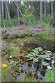 SE9796 : Fire Pond, Standingstones Rigg by Mick Garratt