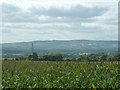 SU8724 : 'A-maizing ' view south from Pound Common by Dave Spicer