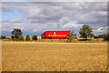 SU4794 : Wheatfield by the A34 by Steve Daniels