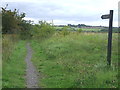 NZ3248 : Footpath to Rainton Meadows by Malc McDonald