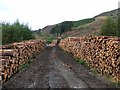 NM4750 : Timber stacks above Loch Frisa by Oliver Dixon