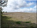 SE3920 : Former spoil heap, former Sharlston Colliery by Christine Johnstone