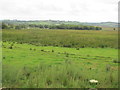 SN6962 : View from cycle track towards Cors Caron by John Light