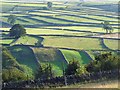 SK2177 : Fields near Eyam by Robin Drayton