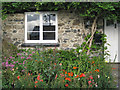 SX8380 : Front garden, Hennock  by Robin Stott