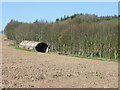 NT8260 : Ploughed field near Marygold by Maigheach-gheal