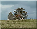 SK2066 : Ruined barn near the Bakewell road by Andrew Hill