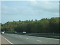 SX8492 : View across the A30 near Five Mile Farm by David Smith