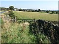 SE2407 : Field entrance south of Denby Lane by Christine Johnstone