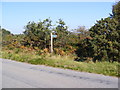 TM3545 : Footpath to Melton Road near Hollesley Water Tower by Geographer