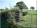 SE2607 : Footpath sign, Lane Head Road by Christine Johnstone