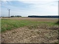 SE4810 : Telephone wires crossing large Moorthorpe field by Christine Johnstone