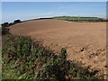 SX3554 : Tilled field, Portwrinkle by Derek Harper