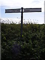 TM2938 : Roadsign on Back Lane, Lower Falkenham by Geographer