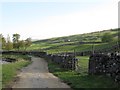 SD8880 : Track alongside the Wharfe, Langstrothdale by Christine Johnstone