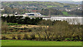 D4202 : Hedges and fields, Islandmagee by Albert Bridge