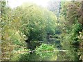 SK7190 : Floating island on the Chesterfield Canal by Christine Johnstone