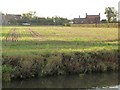 SK7283 : Combed field on the western edge of Clarborough by Christine Johnstone