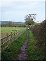 SJ5467 : The Sandstone Trail north of Summertrees by David Smith