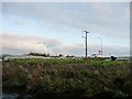 SK7181 : Tending to the market garden at dusk by Christine Johnstone