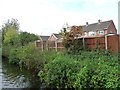 SK6981 : Orange cotoneaster along the Chesterfield canal towpath by Christine Johnstone