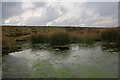 NZ6500 : Pond, Farndale Moor by Mick Garratt