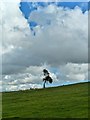 SO9440 : Lone Tree, below Bredon Hill by Paul Buckingham