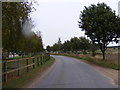 TM3653 : The road to Butley & Hollesley by Geographer