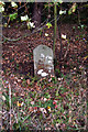 SK5752 : Boundary stone near Papplewick by Alan Murray-Rust