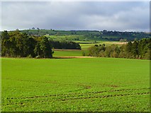  : Farmland, Hartforth by Andrew Smith