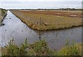 SZ3394 : Marshland at Normandy by Mike Smith