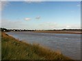 SO7012 : River Severn (at Newnham) by Guillaume Fox