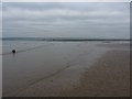 SS4496 : At the western edge of the square on Whiteford Sands by Richard Law