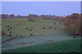 SK1971 : Early Morning Fields near Parkfield by Mick Garratt