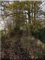 SJ9482 : Footpath, Poynton Coppice by David Dixon