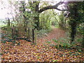 SU1015 : Kissing gate and footpath, Damerham by Maigheach-gheal