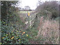 SK7854 : Footbridge over Old Trent Dyke by Jonathan Thacker